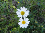 DSCF2198
