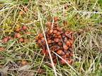 DSCF0050