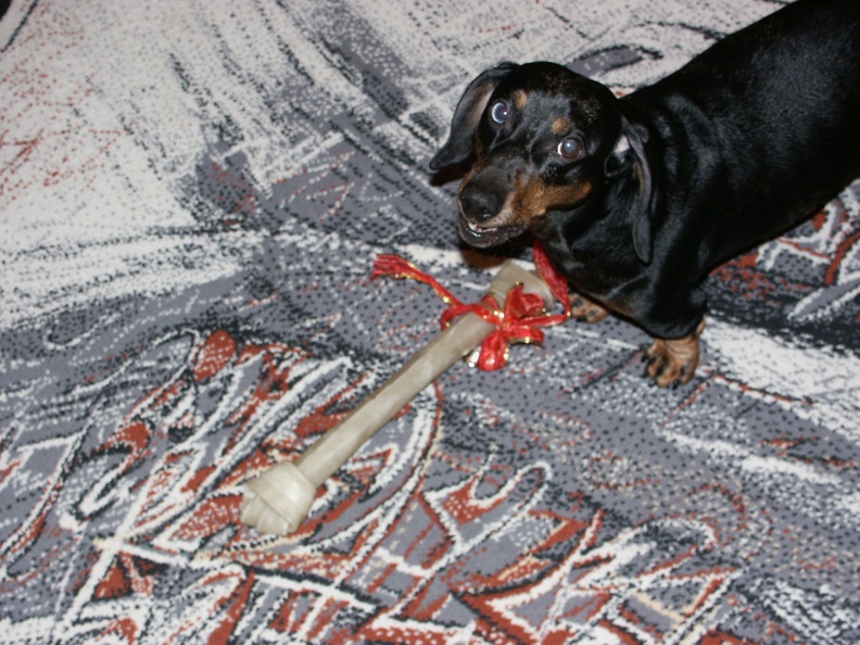 20240531013617-6e36d494.jpg