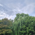 20251001171420-6fcdc120