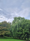 20251001171420-6fcdc120