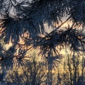 20251001171040-a92054fc