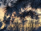 20251001171040-a92054fc