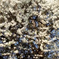 20251005013034-2ab3c074
