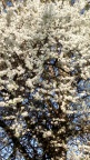 20251005013034-2ab3c074