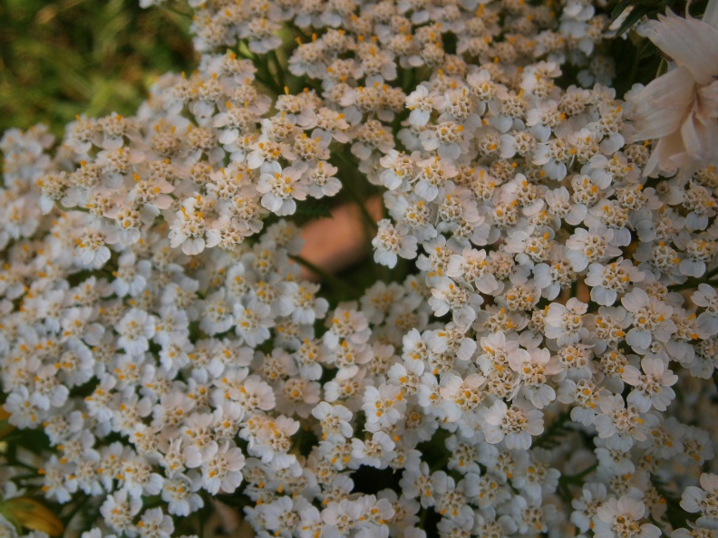 20251005123659-acff1c40.jpg