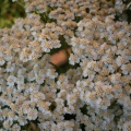 20251005123659-acff1c40