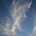 20251005123659-162d1cf5