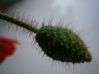 20251005123659-dd699078