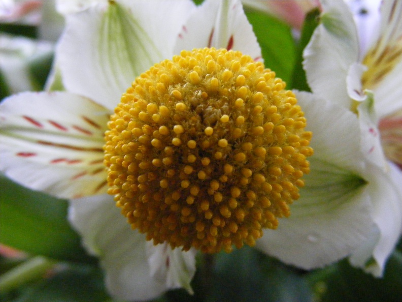 20251005123659-f310fd7a.jpg