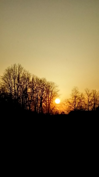 20251005013034-6dc529cc.jpg