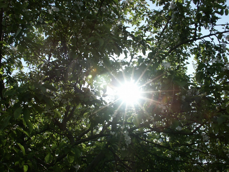 20251005123659-e946f153.jpg