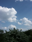 20251005123659-a7cd21a9