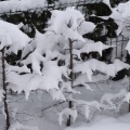 20251219174328-b57199aa