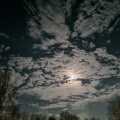 20251219173701-0c42837a