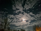 20251219173701-0c42837a